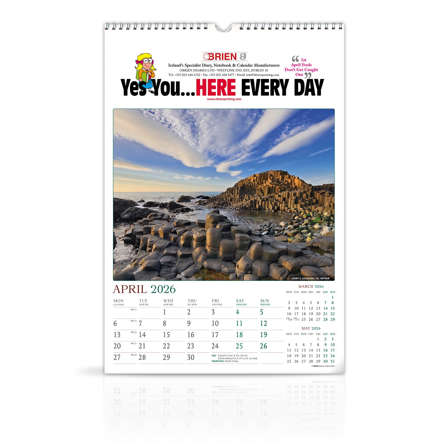 Moods of Ireland - Large Wirebound Custom Calendar