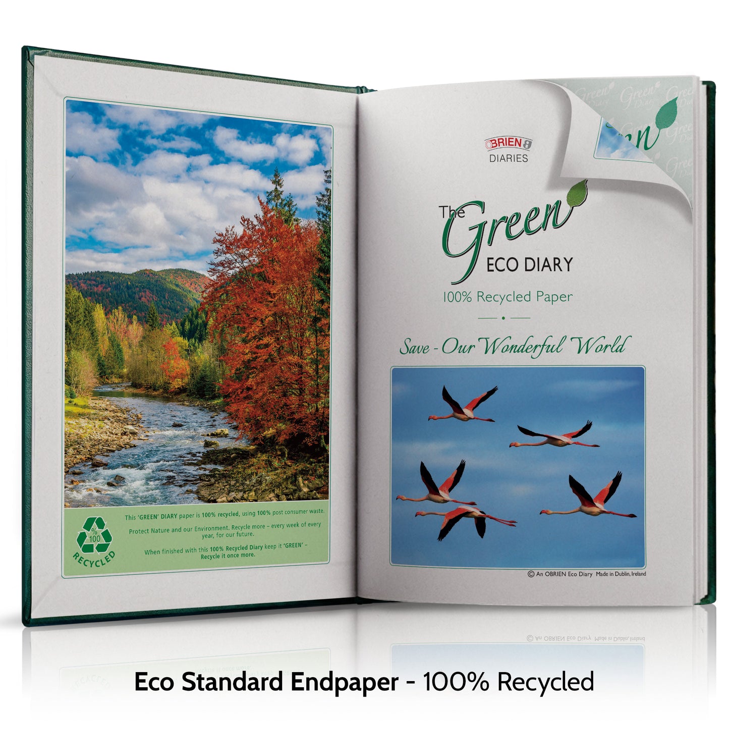 A4 'The Green Eco' Hardback or Padded Customised Diary