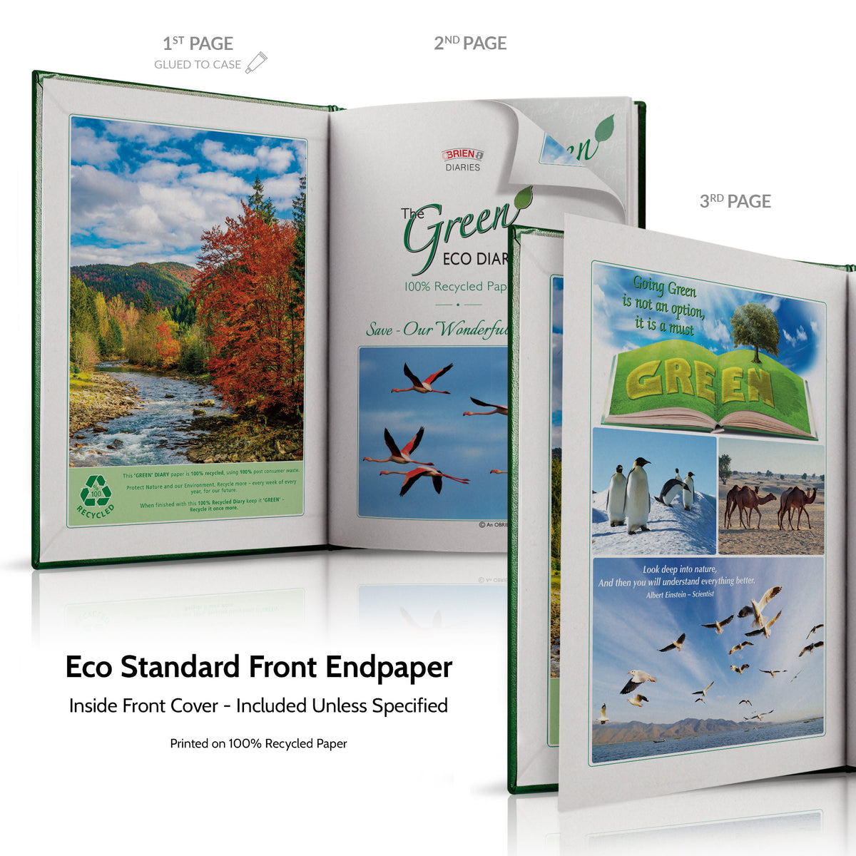 A5 'The Green Eco' Hardback or Padded Customised Diary
