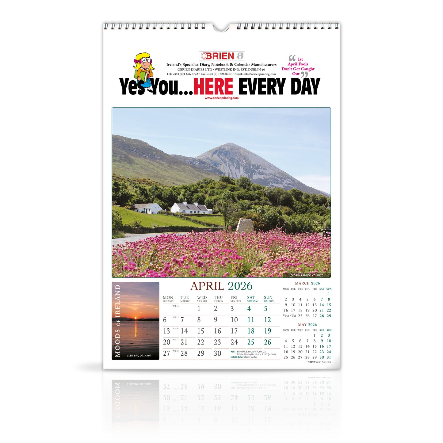 Moods of Ireland - Large Wirebound Custom Calendar