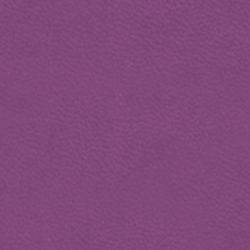 Monaco Purple